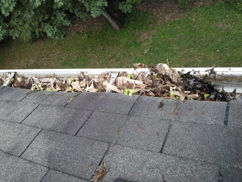 Cleaning Blocked Gutters in Mulbarton